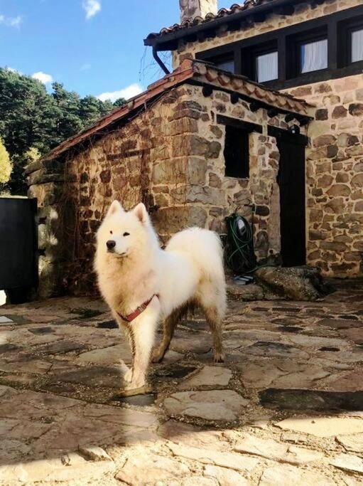 Casa Con Encanto Lagunanegra Y Urbion Vinuesa Esterno foto